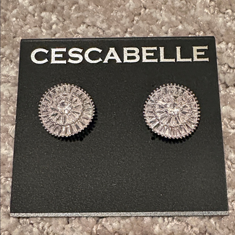 Silver Rhinestone Post Earrings NWT 🙌